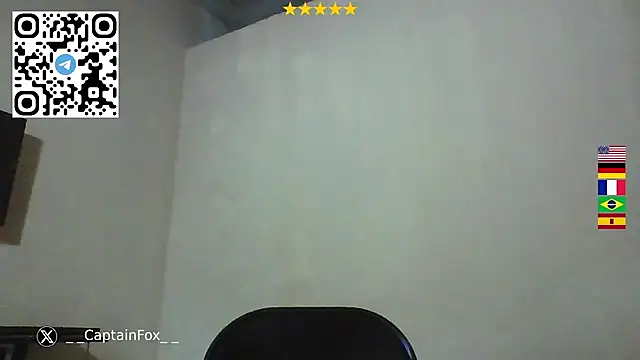 CaptainFox webcam