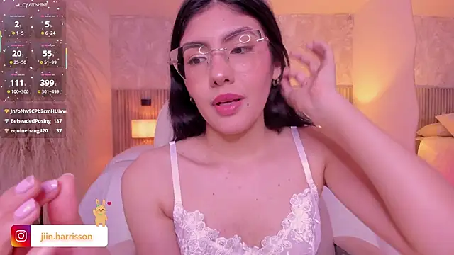 Jin-harrison webcam