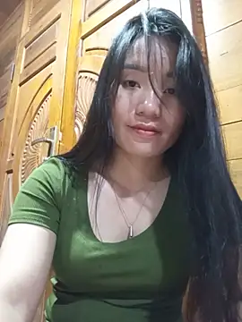 Td3di webcam