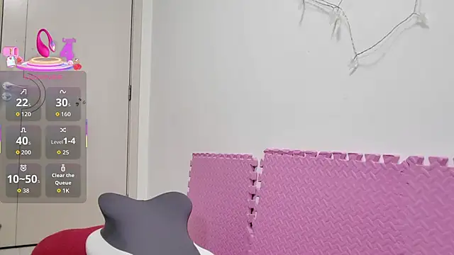 sallycui webcam