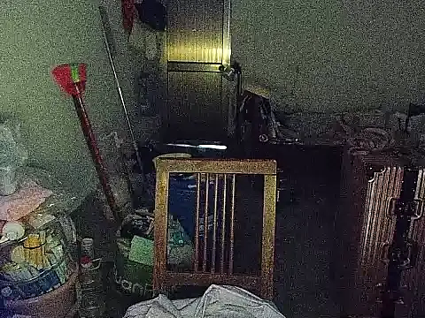 RebelAura webcam