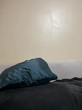 Chomi2014 webcam