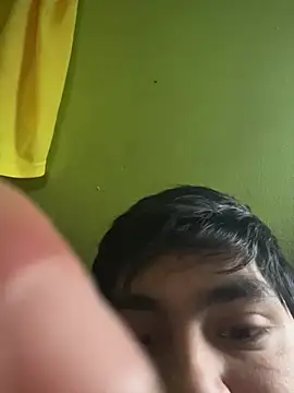 SpritzedManakin webcam