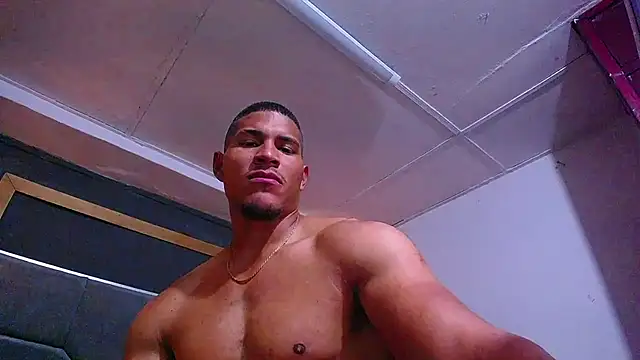 teddyfit19cm webcam