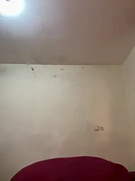 arabayla webcam