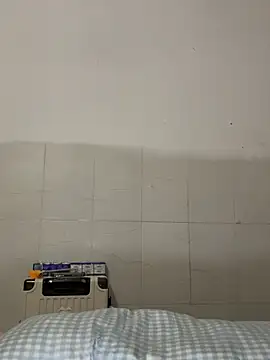 Mr_iphone11 webcam