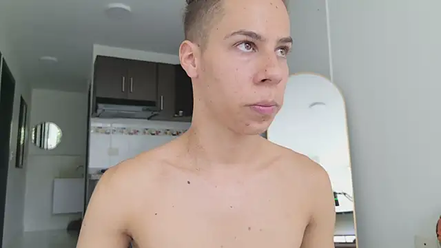 grey___27 webcam
