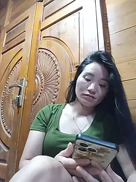Td3di webcam