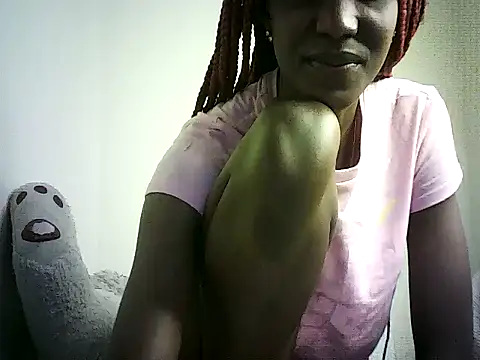DelteAfriq webcam