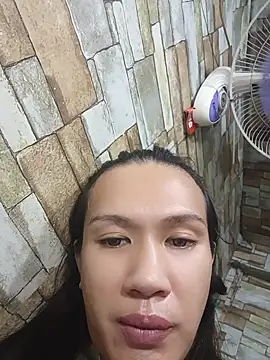 manilafoxts webcam