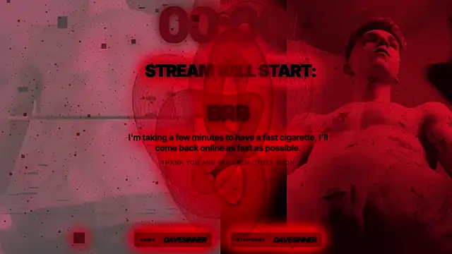 davesinner webcam
