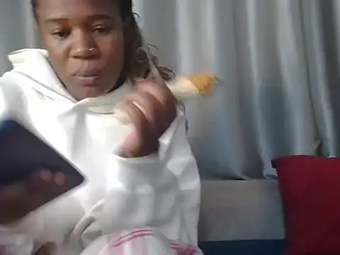 Fries20 webcam