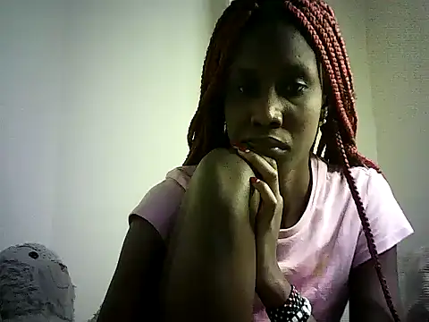DelteAfriq webcam