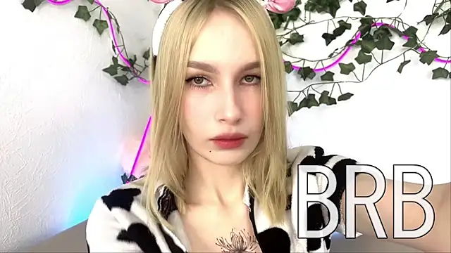 Kaseopea webcam