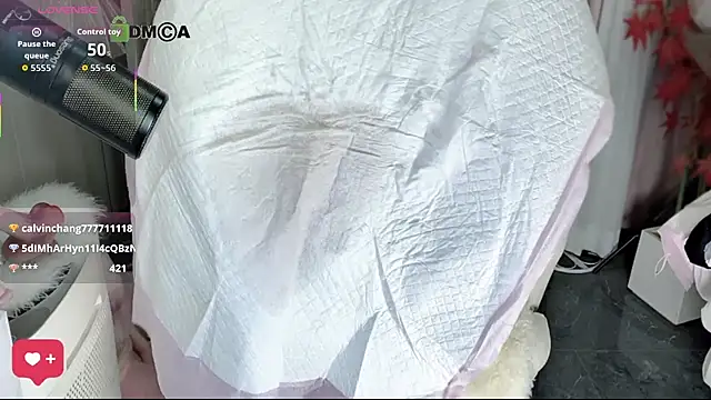 Nni166 webcam
