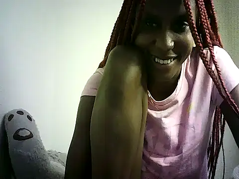 DelteAfriq webcam