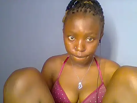 Chocolate-brownie webcam