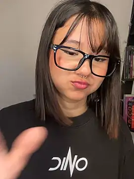 ivi_sunny webcam