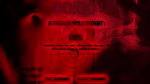 davesinner webcam