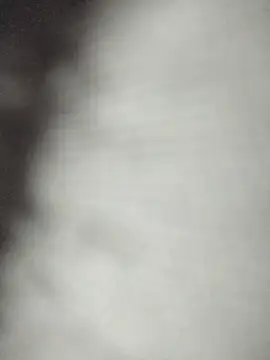 Virgineguy123 webcam