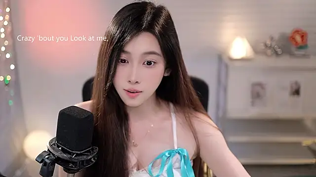 SleepArtist webcam