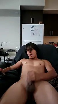 ZeldaSneakyLink webcam