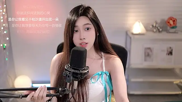 SleepArtist webcam