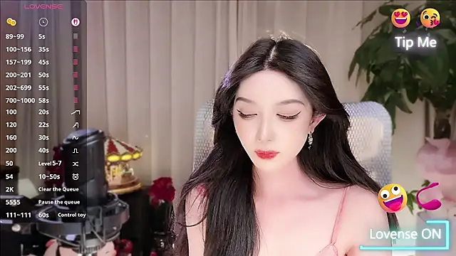 vyizh- webcam