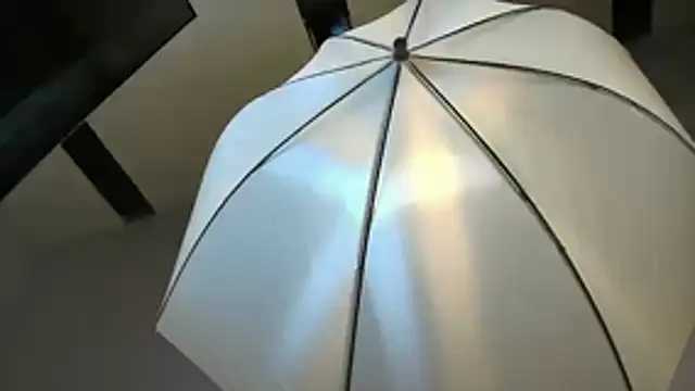 Nalapalmer webcam