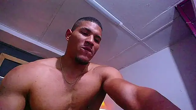 teddyfit19cm webcam