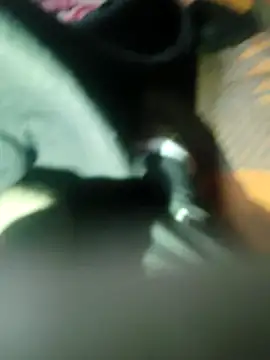 Bengali_BULL1 webcam