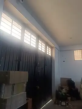 Petterleonel123 webcam