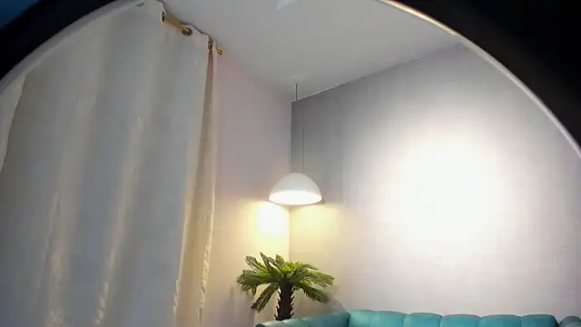 Kelani__Fire webcam