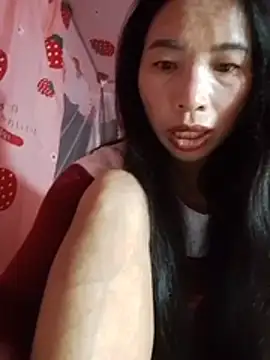 Tho-bibi webcam