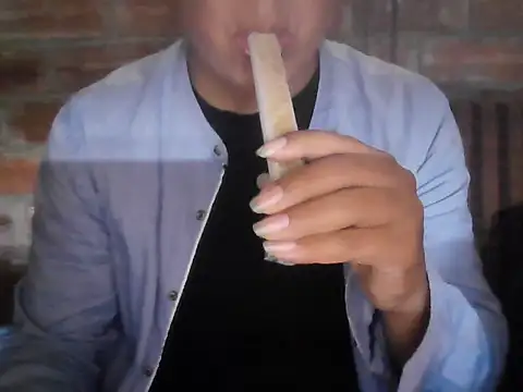 EDIN33_ webcam