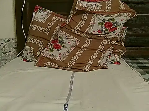 Delhi_Gurugram_ webcam