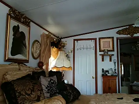 MasterIndigo webcam