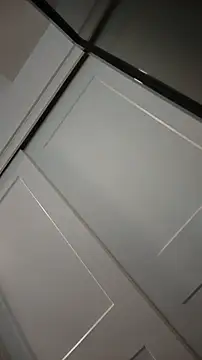ZeldaSneakyLink webcam