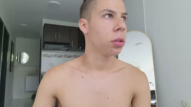 grey___27 webcam