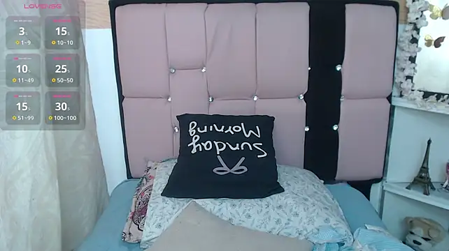 palmer_mIix webcam