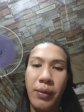 manilafoxts webcam