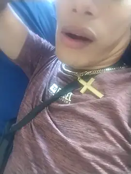 gingavi webcam