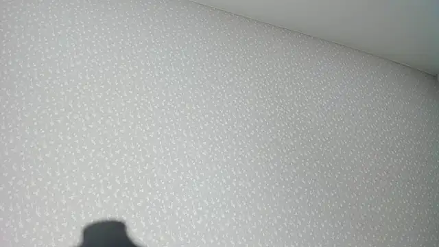 Mary_F0x webcam