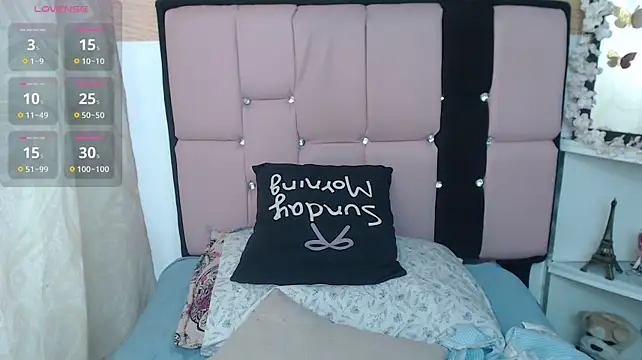 palmer_mIix webcam