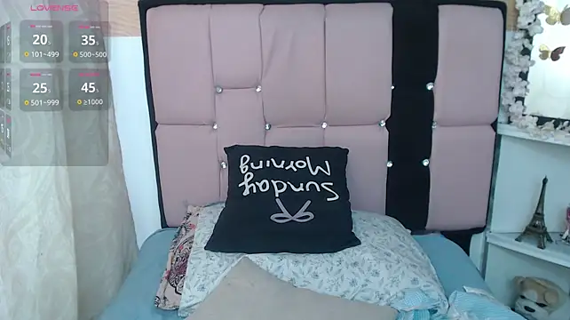 palmer_mIix webcam