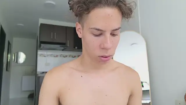 grey___27 webcam