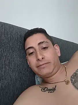 Tiger_cryad webcam