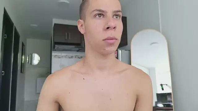 grey___27 webcam