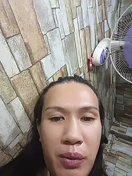 manilafoxts webcam