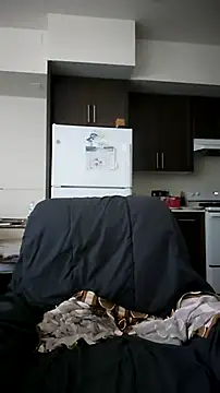 ZeldaSneakyLink webcam